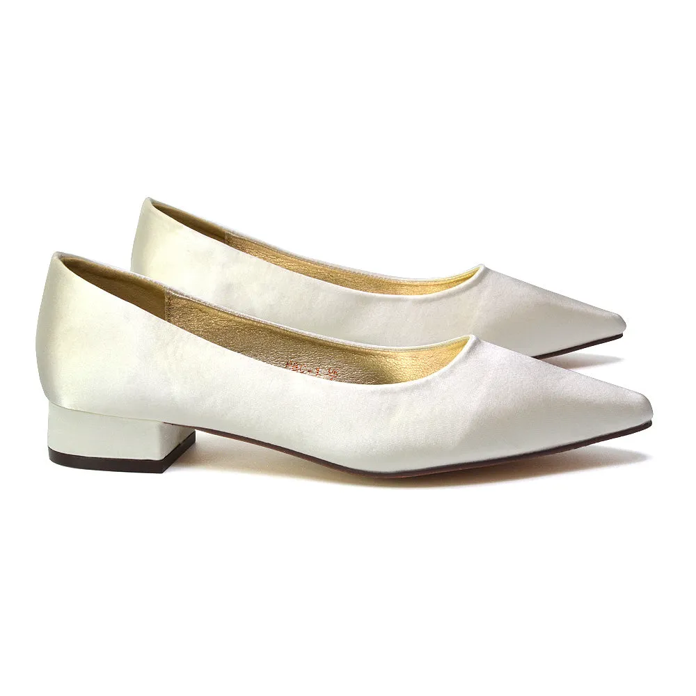 Karen Slip On Pointed Toe Wedding Shoes Low Heel Bridal Heels Court Shoes in Black