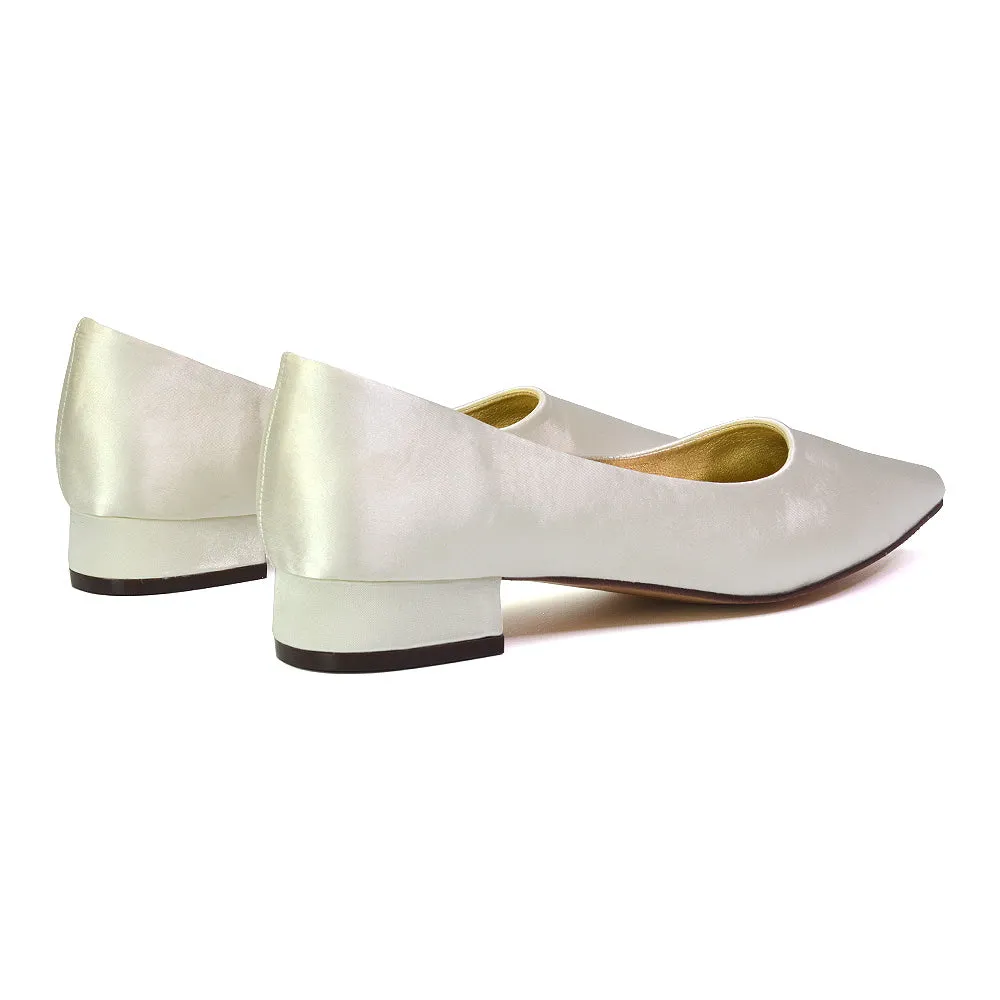 Karen Slip On Pointed Toe Wedding Shoes Low Heel Bridal Heels Court Shoes in Black