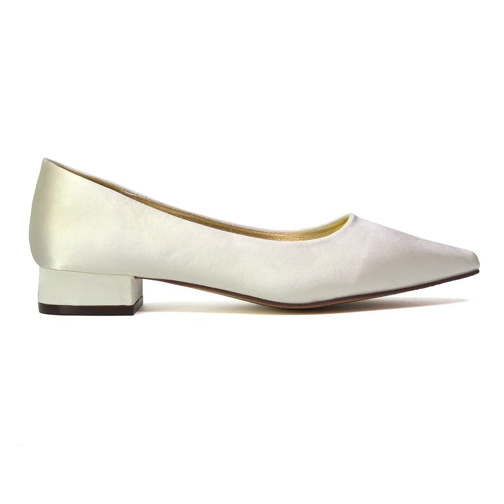 Karen Slip On Pointed Toe Wedding Shoes Low Heel Bridal Heels Court Shoes in Black