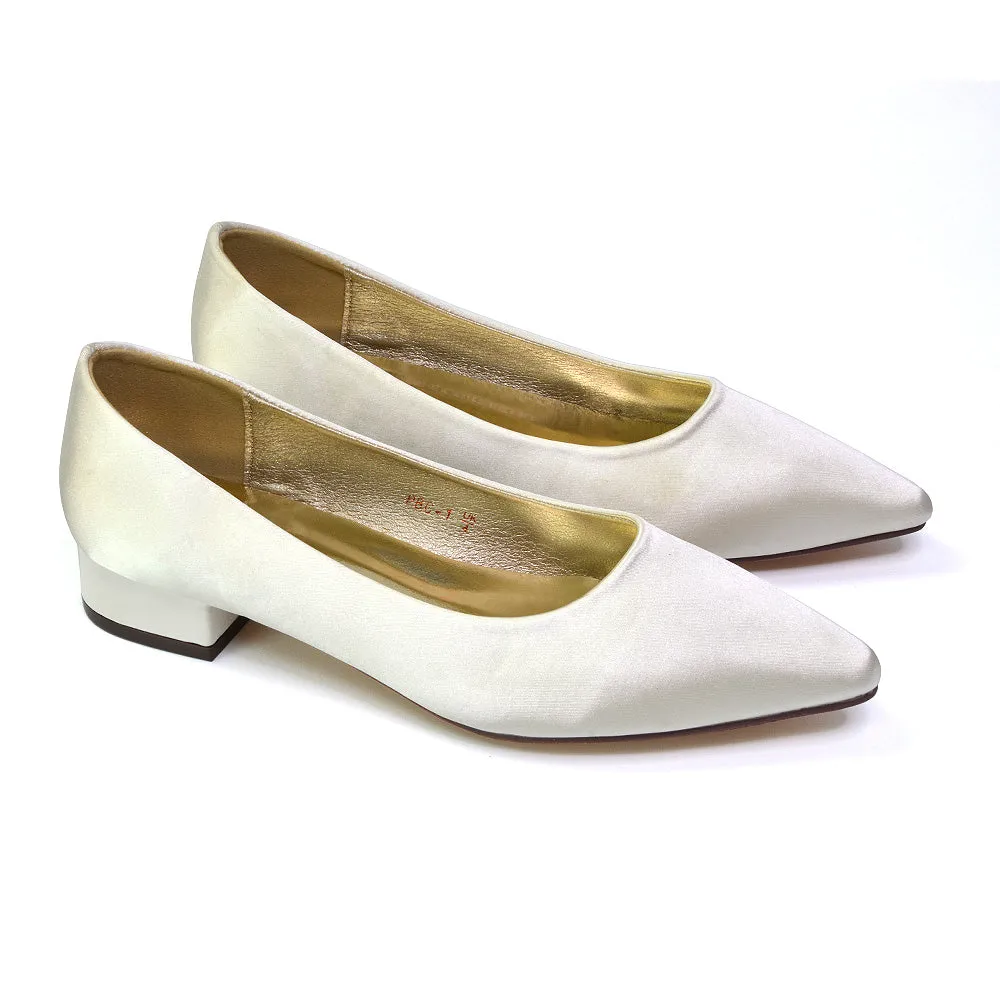 Karen Slip On Pointed Toe Wedding Shoes Low Heel Bridal Heels Court Shoes in Black