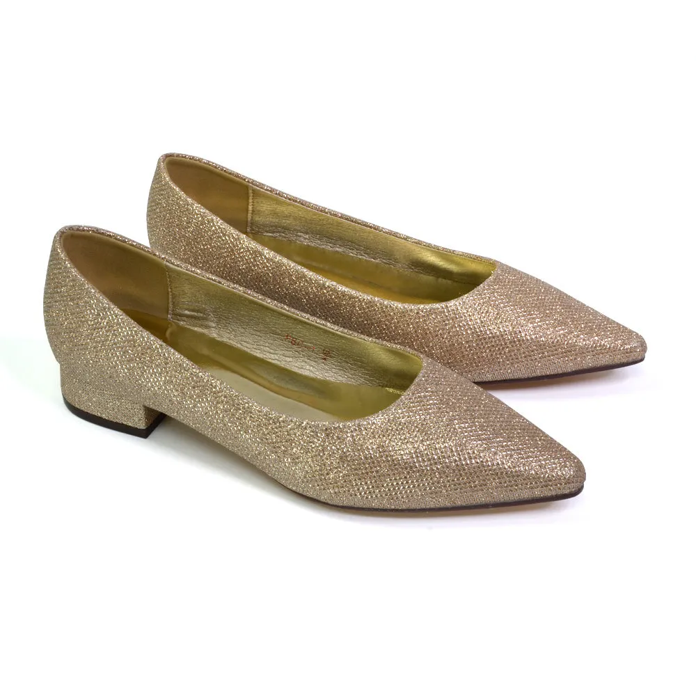 Karen Slip On Pointed Toe Wedding Shoes Low Heel Bridal Heels Court Shoes in Black