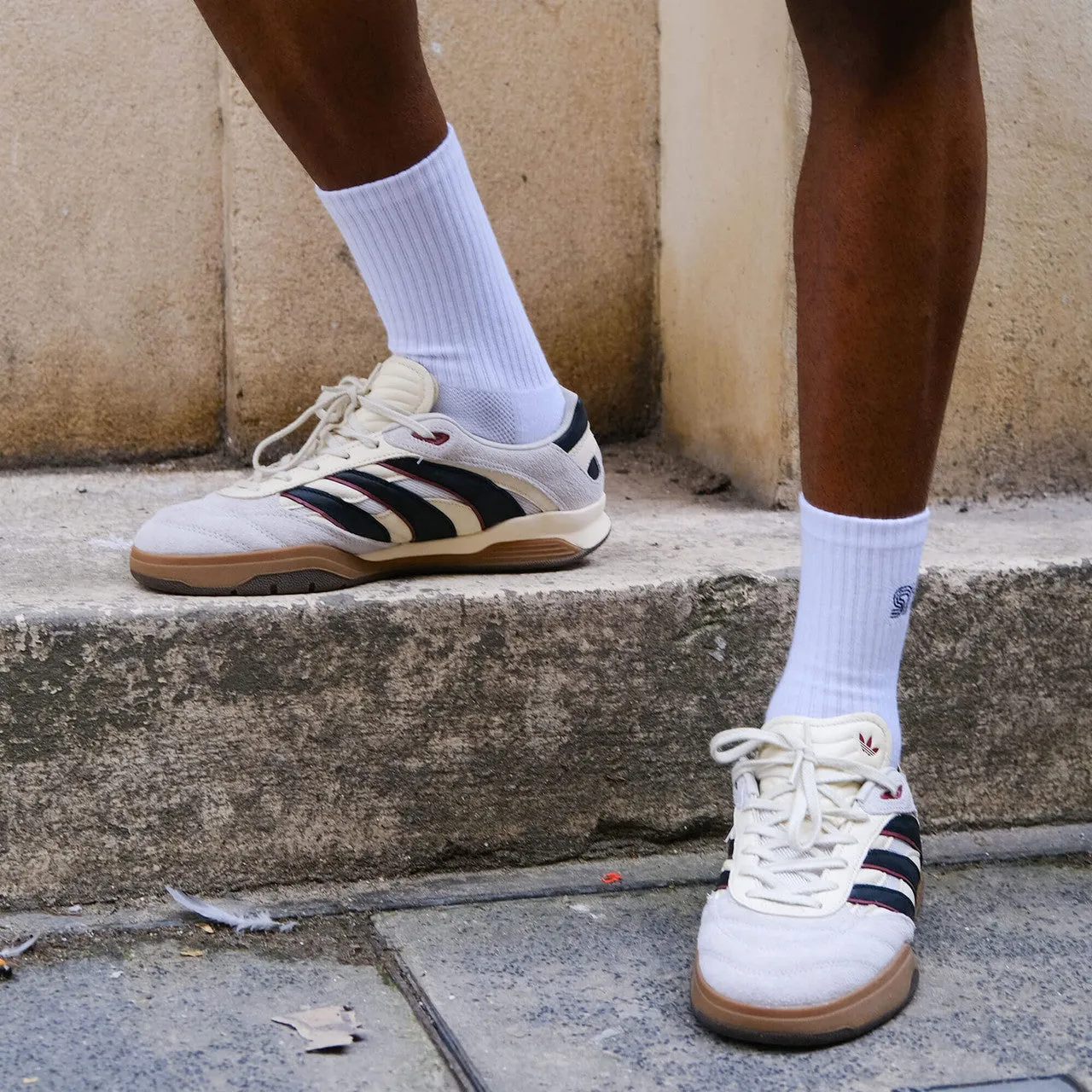 Predator Mundial x SNS