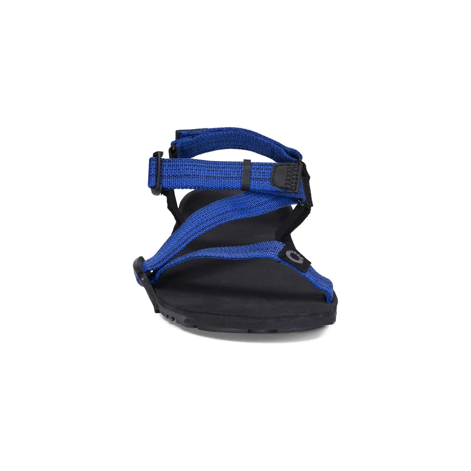 Xero Shoes Z-Trail EV Men - sodalite blue