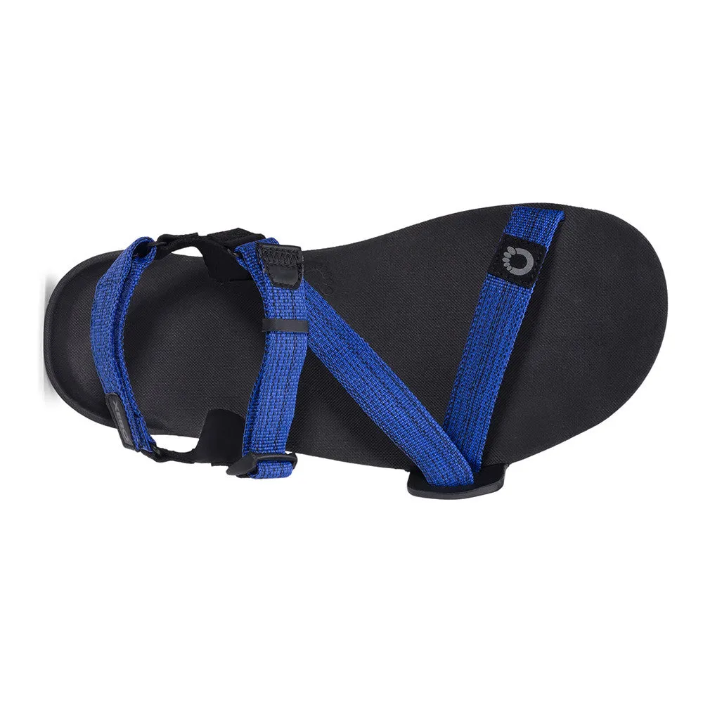 Xero Shoes Z-Trail EV Men - sodalite blue